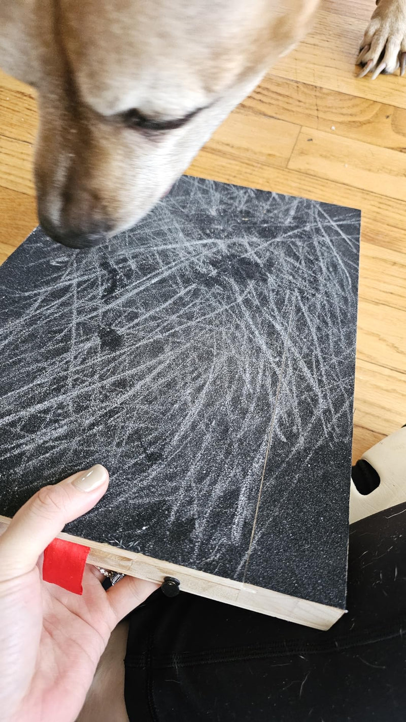 Finally Trimming Nails Without the Drama