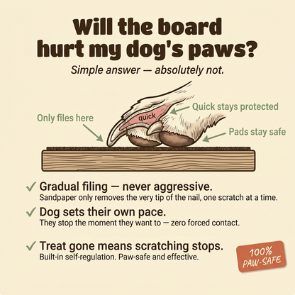 PawEase Board™